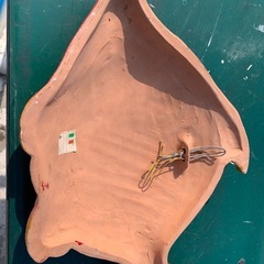 鯛の壁掛けの画像