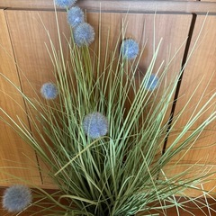 EUROPALMS社の人工観葉植物（フェイクグリーン）の画像