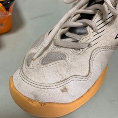 バレーボールシューズの画像