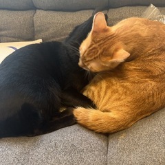 愚痴聞き　おもてなし　承認欲求までしちゃお！