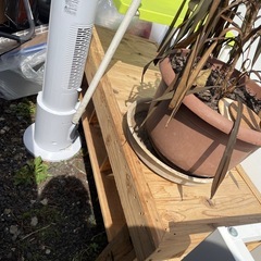 どれぐらい残っているか分かりませんが、それでもよければどうぞ！
の画像