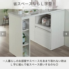 【4月中旬以降引き渡し】カウンター　フリード120　伸長カウンターの画像