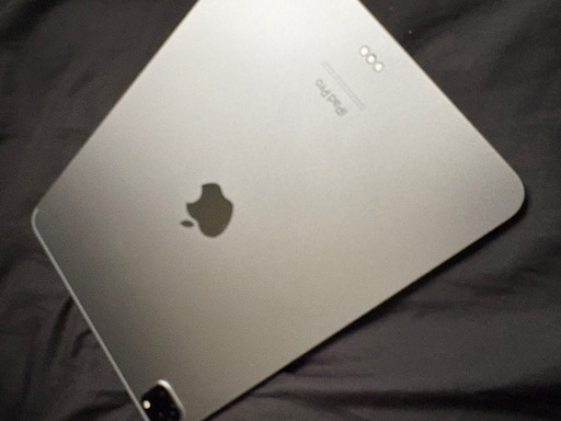iPad Pro11インチ　第4世代 512GB
