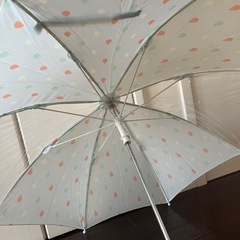 グリーンレーベル　キッズ　傘　60cmの画像