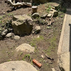 石どれでもの画像