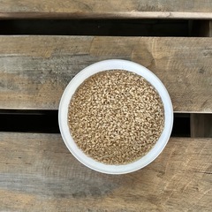 令和7年度産鹿野コシヒカリ1袋30kgの画像