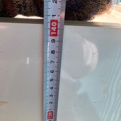 煙草や 店舗什器　　ディスプレイ台 飾り棚としてなのどの画像