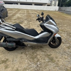 ホンダフォルツァmf10の画像