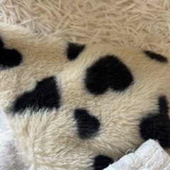 女の子ベビー服セットの画像