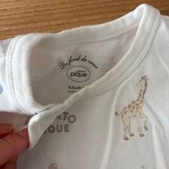 gelato piqueの画像