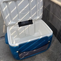 Coleman クーラーボックスの画像