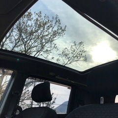 フリードスパイク　激レア電動スカイルーフ　低走行　ワンオーナーの画像