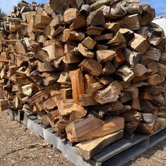 薪🪵バラ　短め〜の画像