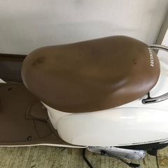 ホンダクレアスクーピーの画像