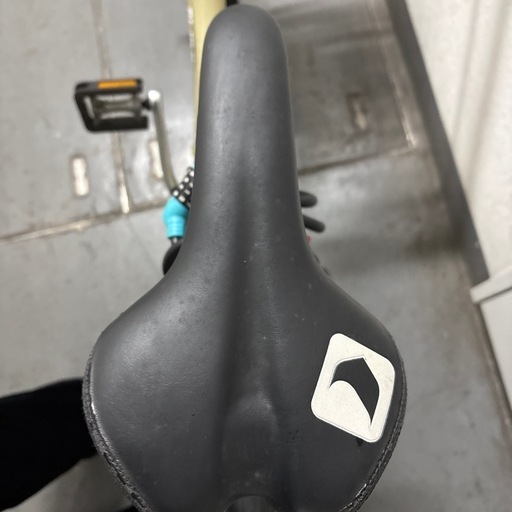 LOUIS GARNEAU my/1 オリーブ 間もなく終了