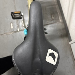 LOUIS GARNEAU my/1 オリーブの画像