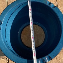 🐶睡蓮鉢　　メダカ・金魚 の画像