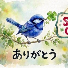 あげます　婦人服　Mの画像