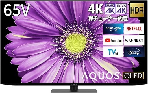 【65型】4K 有機ELテレビ「AQUOS OLED 4T-C65DQ2」