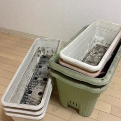 プランターお譲り致しますの画像