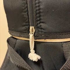 ミズノ キャディバッグ 9.5型 5LJC149200の画像