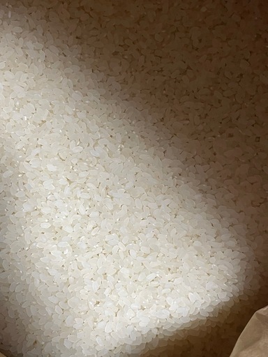 ? 令和7年産 コシヒカリ（玄米）30kg