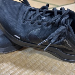 NIKEシューズの画像