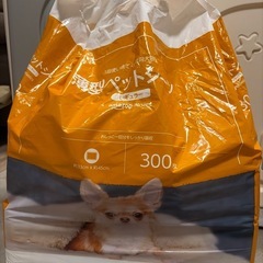 薄型ペットシーツの画像