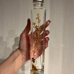 【美品】ハーバリウム【拭きあげ消毒済み】の画像