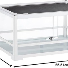 パンテオン 爬虫類ゲージの画像