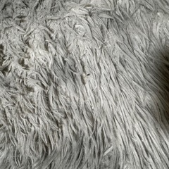 グレー　ラグ　185×185の画像