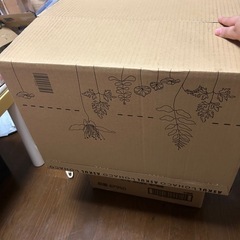 ダンボール120サイズ　　　　の画像