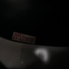 XLサイズ　ベルスター2 の画像