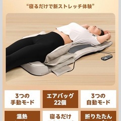 立体エアーマット（温熱ヒーター付）の画像