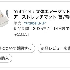 立体エアーマット（温熱ヒーター付）の画像