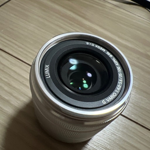 その他 LUMIXGF10