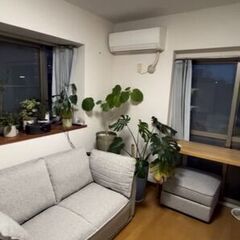 コアラ ソファベッド CUSHY＋オットマンセット(SD size) koala｜74,000円｜3/30まで引取の画像