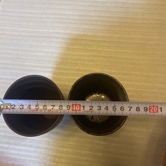 【若】陶器の晩酌セット(ビール用、お湯割用)の画像