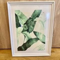 【美品】額縁入り水彩画デザイン　ボタニカルアートの画像