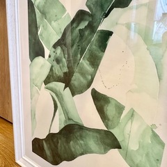 【美品】額縁入り水彩画デザイン　ボタニカルアートの画像