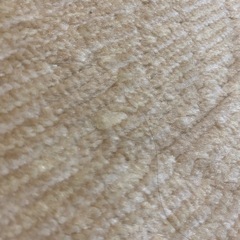 カーペットの画像