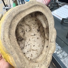 小さな　たぬき　置物の画像