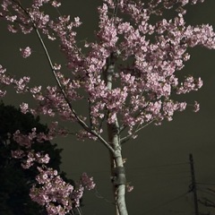 ♡♡LINE電話で楽しく話せる方♡♡