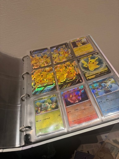 ポケカカードファイル