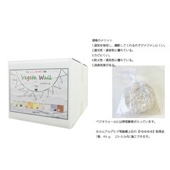 ベジタウォール 漆喰 壁紙diyの画像