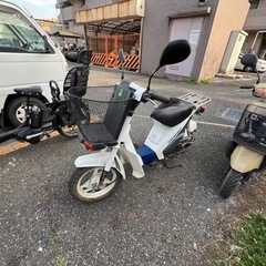 モレ❣️他在庫多数飛込見学大歓迎の画像