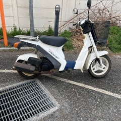 モレ❣️他在庫多数飛込見学大歓迎の画像