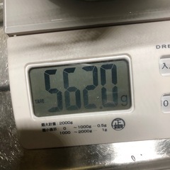 海ぶどうの画像