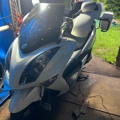 4d9 マジェスティの画像