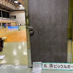 名護でピックルボール一緒にやりましょう